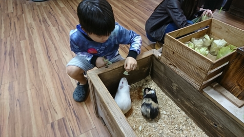 16日・東南植物楽園の釣り堀！